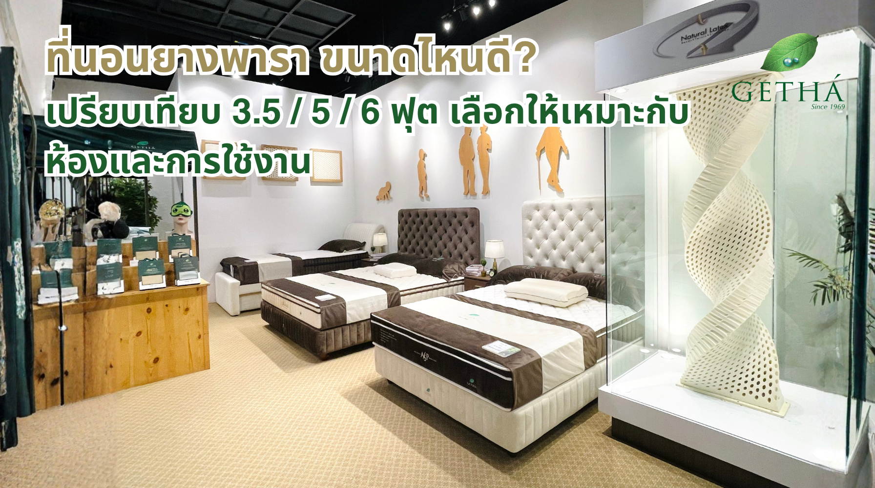ที่นอนยางพารา ขนาดไหนดี? เปรียบเทียบ 3.5 / 5 / 6 ฟุต เลือกให้เหมาะกับห้องและการใช้งาน