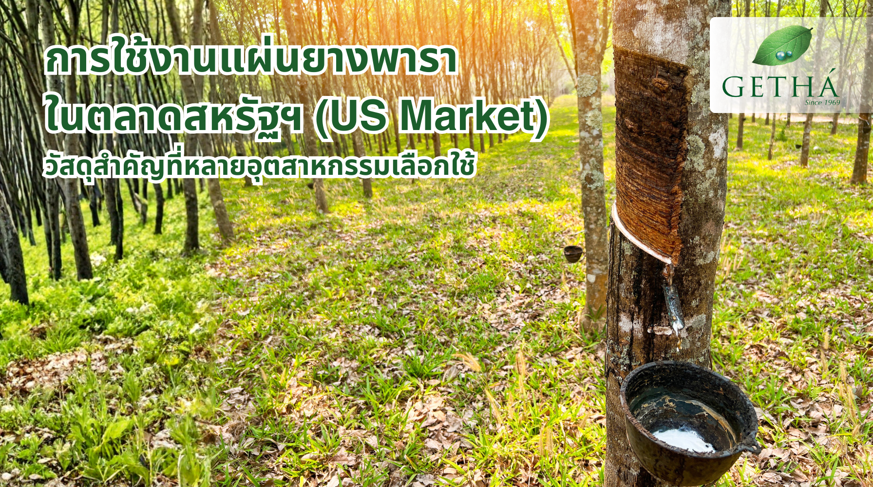 การใช้งานแผ่นยางพาราธรรมชาติในตลาดสหรัฐฯ วัสดุสำคัญที่หลายอุตสาหกรรมเลือกใช้