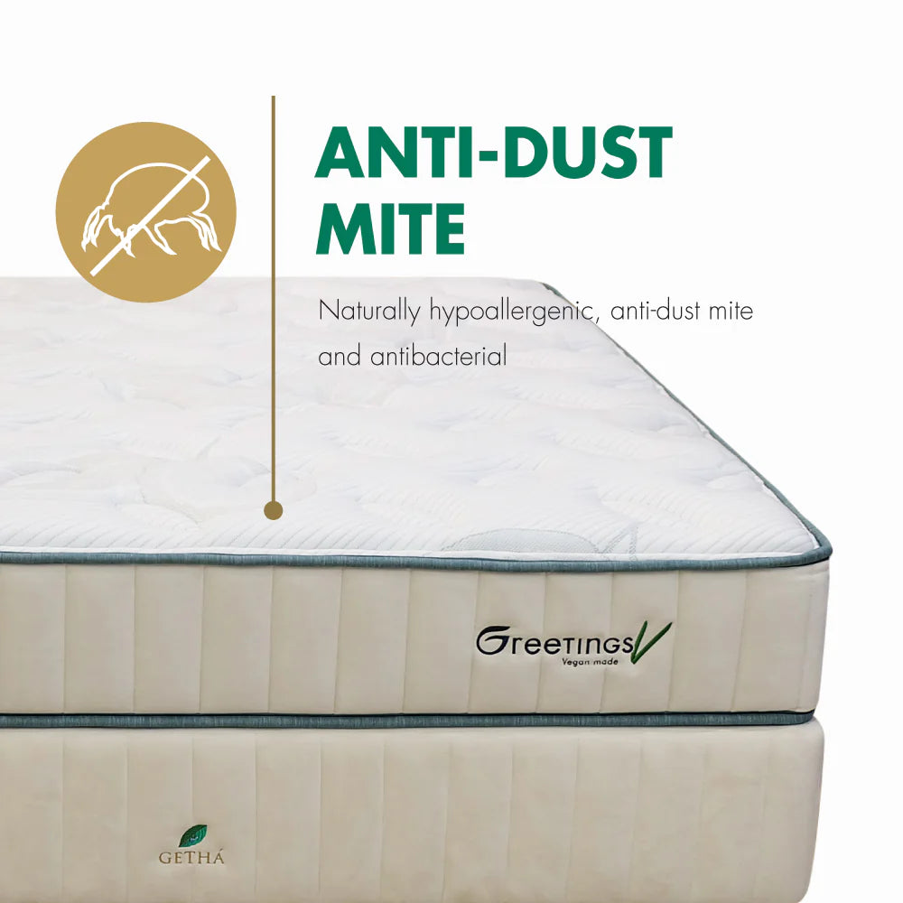 ที่นอนยางพารา Getha รุ่น Greetings V Mattress